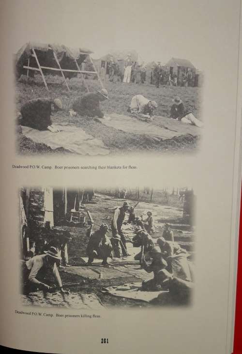 ST Helena - A Photographic Treasury - 1856-1947 Robin Castell
