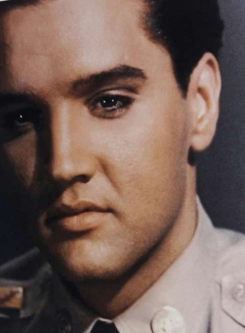 The King - Jim Piazza