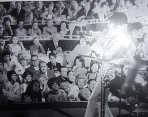 The King - Jim Piazza