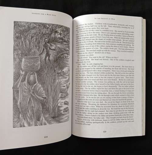 Looking for a Rain God & other short stories from Africa Selected & Introduced by Ian Gordon