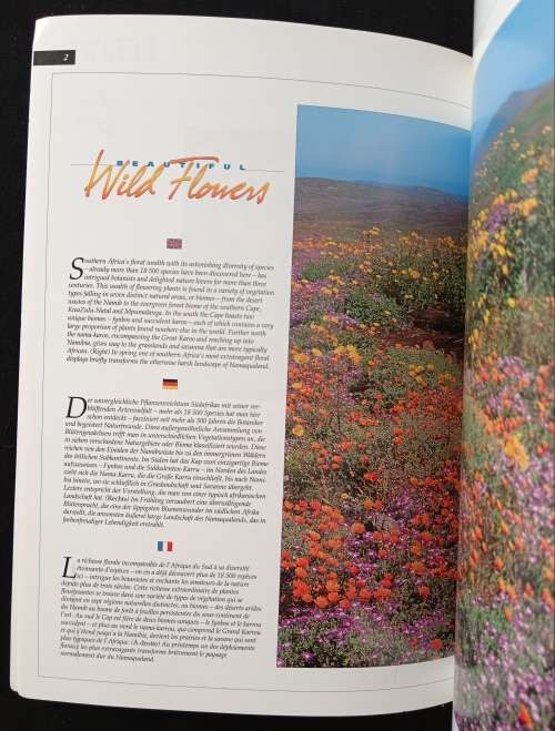 Beautiful Wild Flowers of Southern Africa