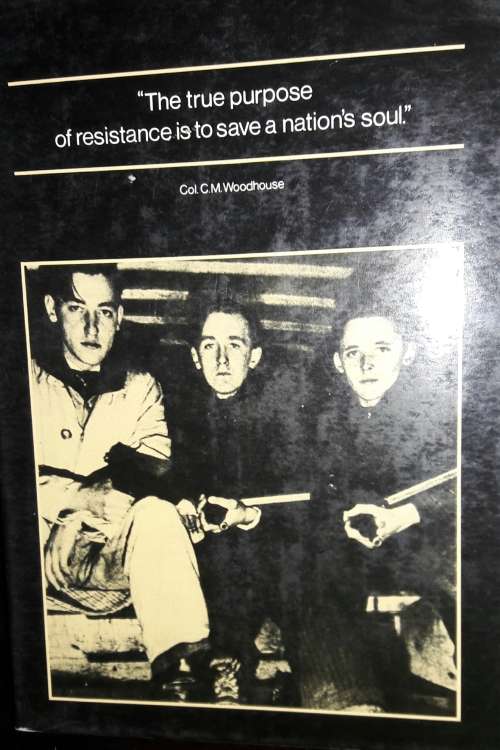 The Partisans - David Mountfield