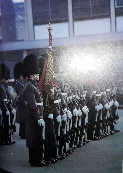 The Guards - John de St. Jorre - Anthony Edgeworth