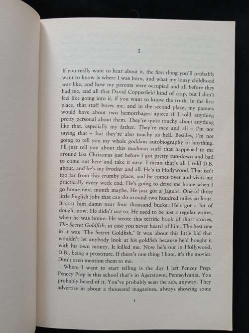 The Catcher in the Rye by J D Salinger