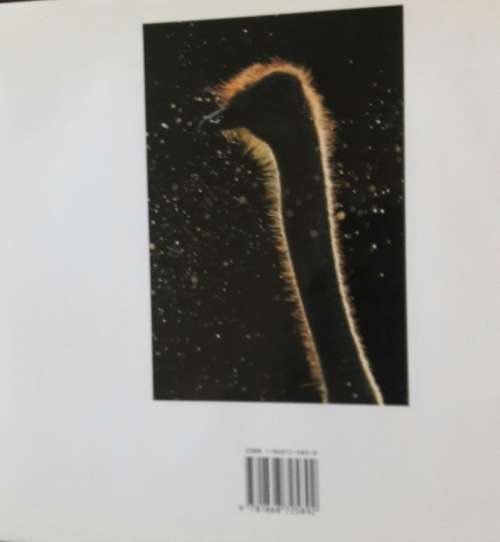 African Wildlife - Themes - Richard du Toit