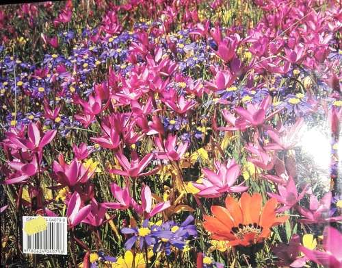Gerhard Dreyer`s Wild Flowers - Text by Ernst van Jaarsveld