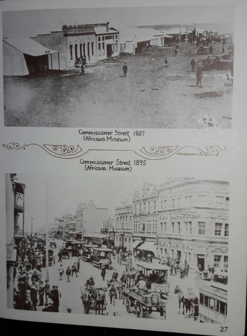 The City That Leapt To Life - Wilna Botha and Libby Husemeyer