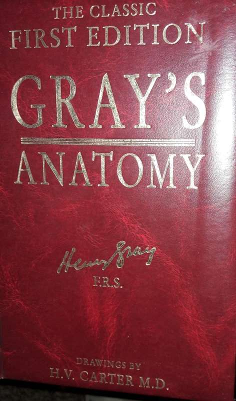 The Classic First Edition - Gray`s Anatomy - Henry Gray, F.R.S.