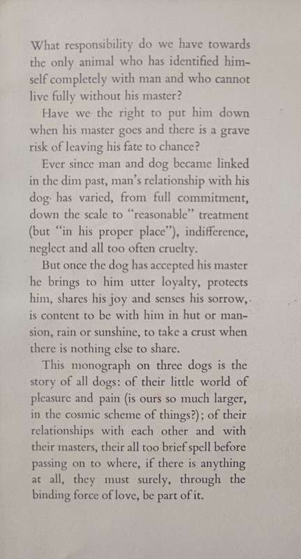 Buster, Sally & Mark The story of Three Dogs by I D du Plessis