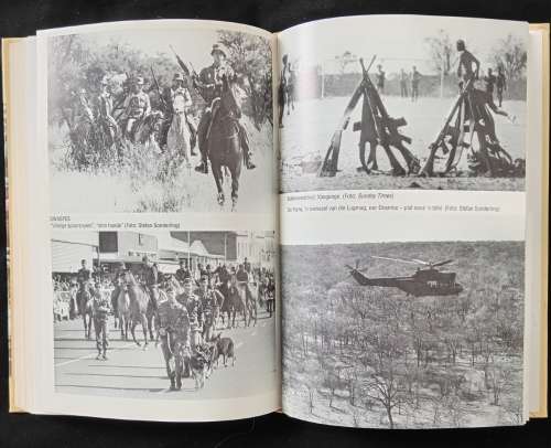 Dié wat wen ń Generaal se storie uit ń era van oorlog & vrede by Jannie Geldenhuys