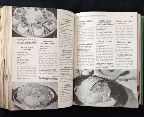 The New Family Cook Book Edited by Ruth Berolzheimer