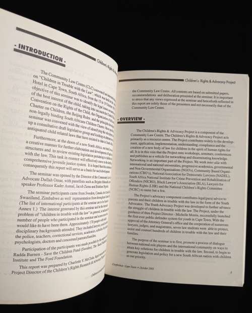 Report of the International Seminar on Children in Trouble with the Law