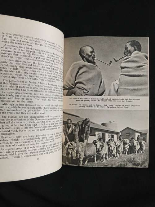 Searchlight on South Africa`s Native Policy by Rex Reynolds