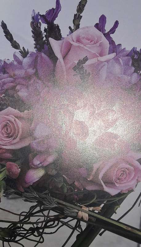 Birkenhead Blooms - Alyson Kessel