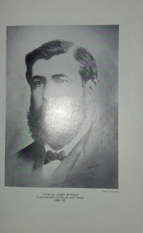 The Knysna Story - Arthur Nimmo