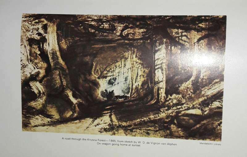The Knysna Story - Arthur Nimmo