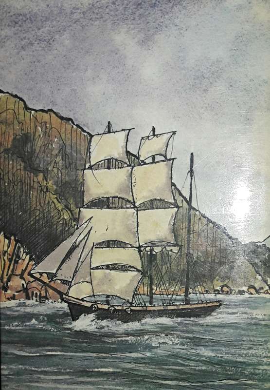 The Knysna Story - Arthur Nimmo