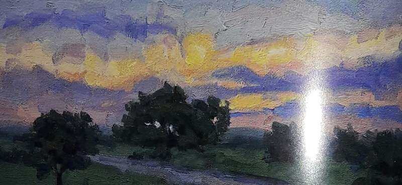 Kalahari Summer In Photographs And Oils - Robert Grogan
