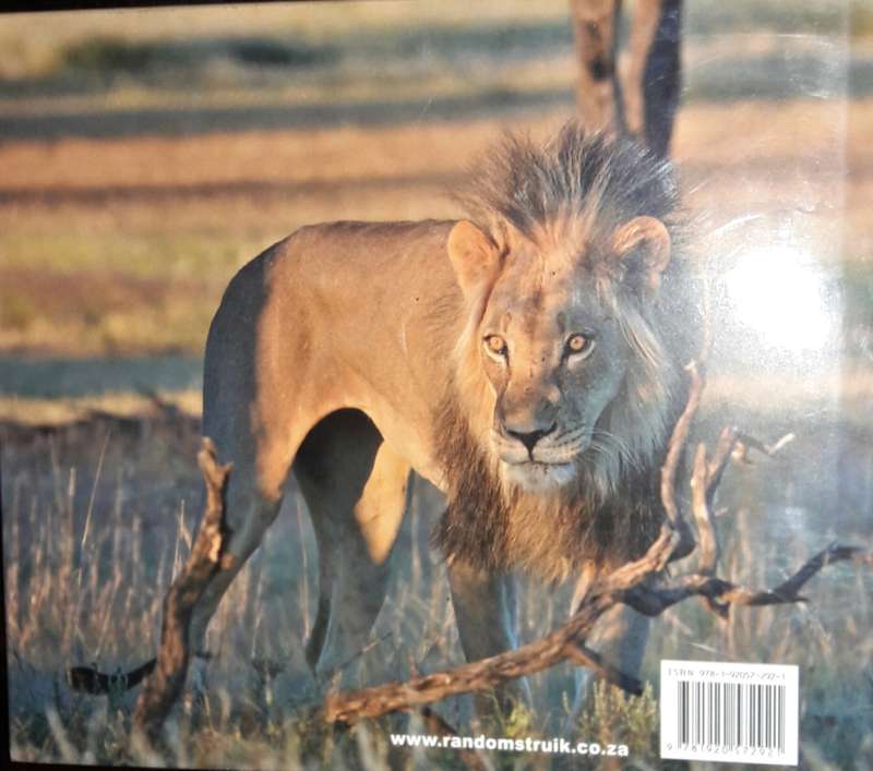 Kalahari Summer In Photographs And Oils - Robert Grogan