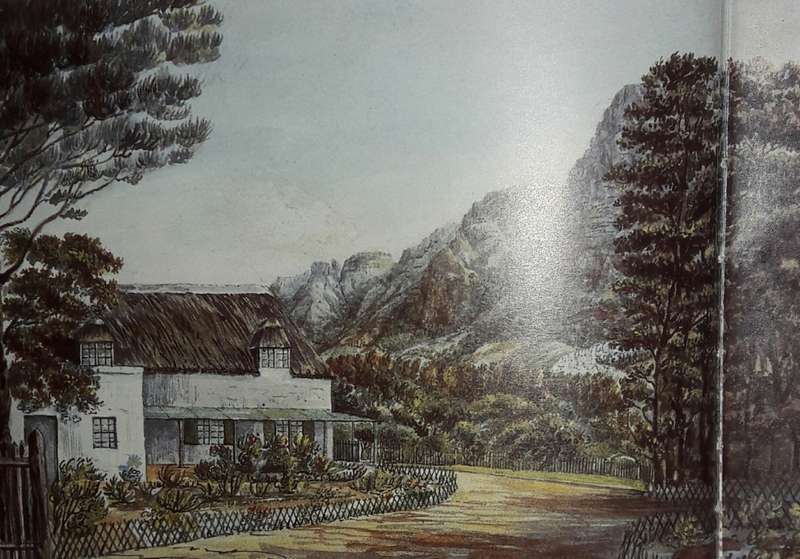 A History Of The Vineyard - Jill Baikoff