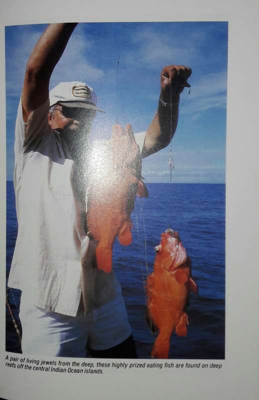 African Angler- CharlesNorman
