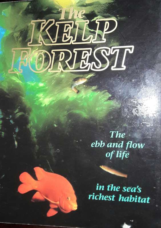 The Kelp Forest - Howard Hall