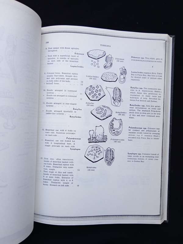 A Guide to Marine Life on South African Shores Vol 1 & 2 by J H Day