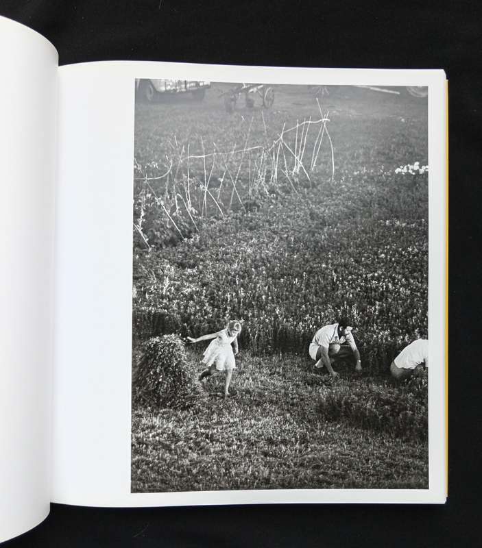 Some Afrikaners Revisited by David Goldblatt