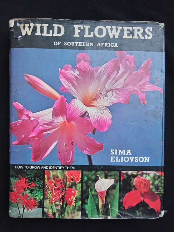 Wild Flowers of Southern Africa by Sima Eliovson