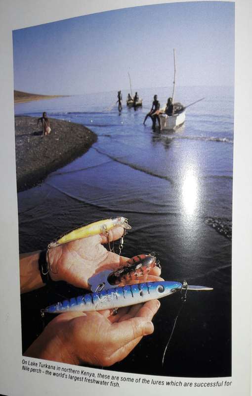 African Angler - Charles Norman