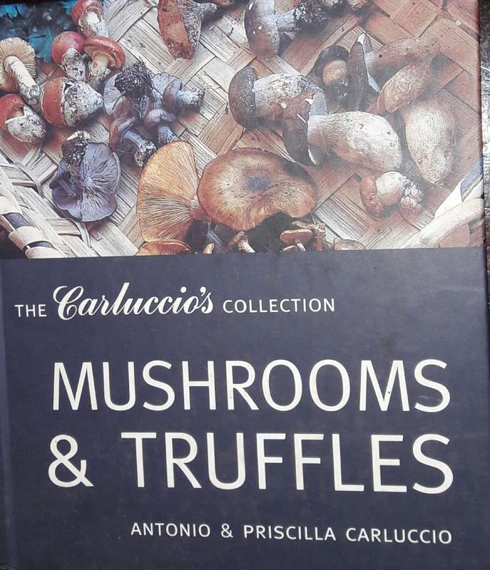 Mushrooms & Truffles - Antonio & Priscilla Carluccio