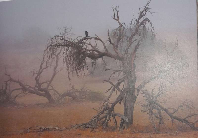 The Arid Parks - Captured Experiences - Steve Newbould & Henriette Engelbrecht