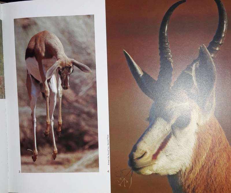 The Arid Parks - Captured Experiences - Steve Newbould & Henriette Engelbrecht