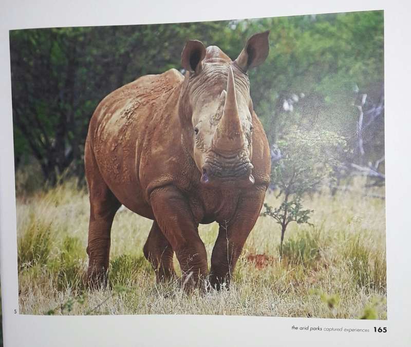 The Arid Parks - Captured Experiences - Steve Newbould & Henriette Engelbrecht