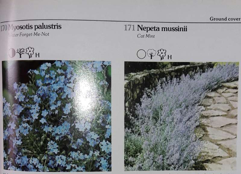 Keith Kirsten`s Guide To Garden Plants - Keith Kirsten