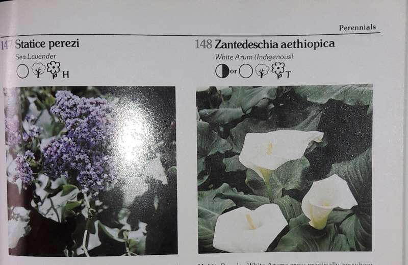Keith Kirsten`s Guide To Garden Plants - Keith Kirsten