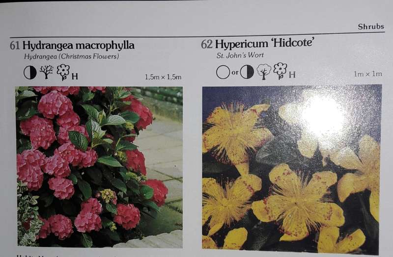 Keith Kirsten`s Guide To Garden Plants - Keith Kirsten