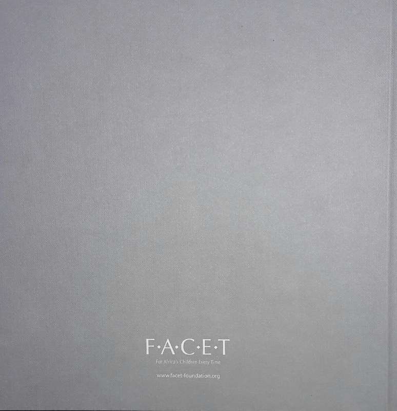 Facet Charity Art Auction November 2011