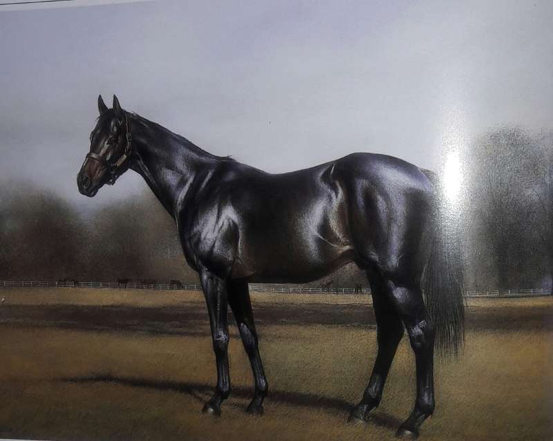The History Of The Rothmans July Handicap - Ernie Duffield