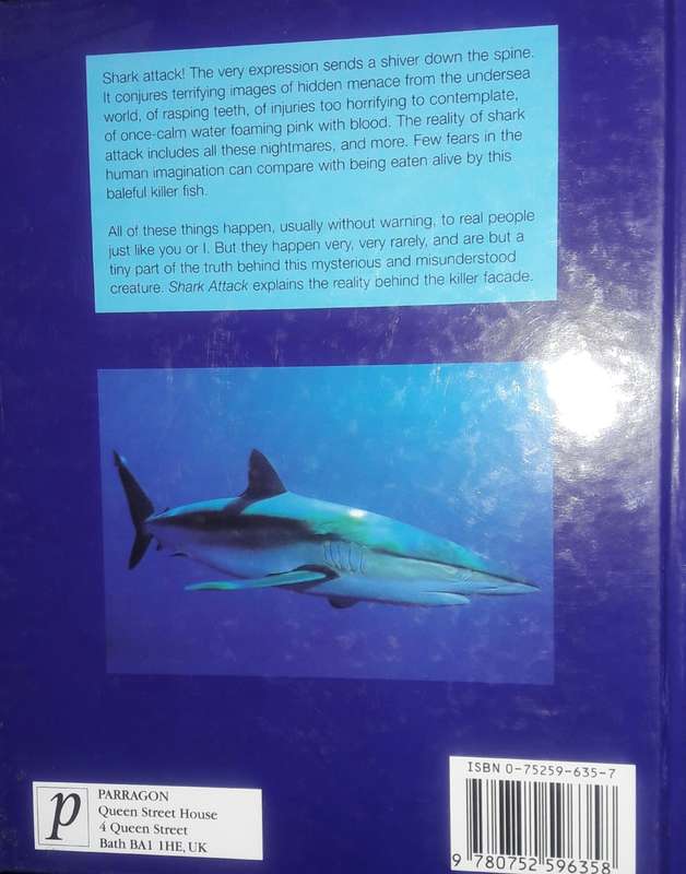 Shark Attack - Mac McDiarmid