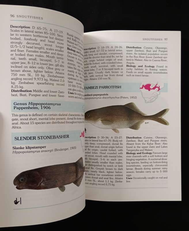 A Complete Guide to the Freshwater Fishes of Southern Africa by Paul Skelton
