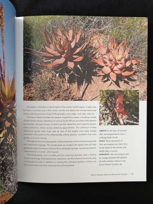 Succulent Paradise by Gideon F Smith & Estrela Figueiredo
