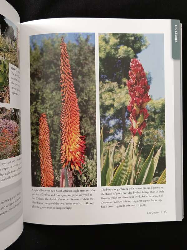 Succulent Paradise by Gideon F Smith & Estrela Figueiredo