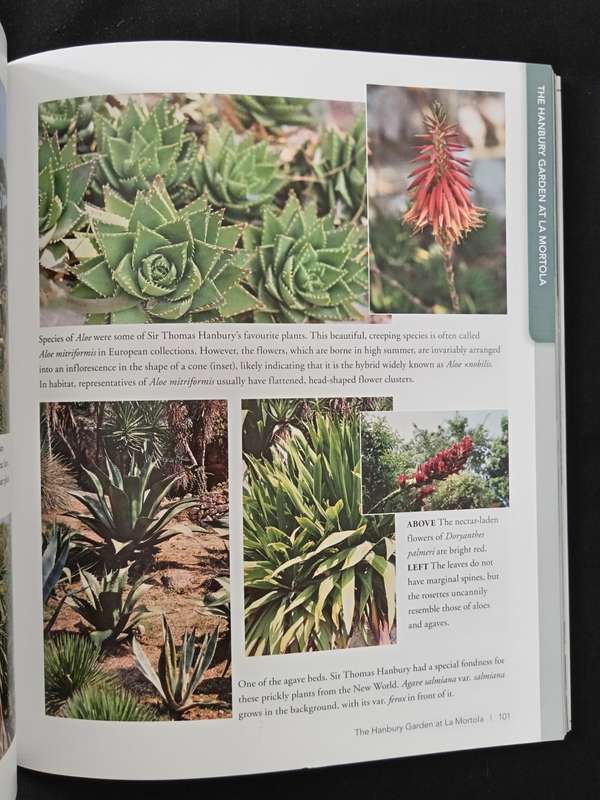 Succulent Paradise by Gideon F Smith & Estrela Figueiredo