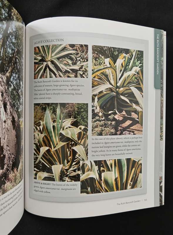 Succulent Paradise by Gideon F Smith & Estrela Figueiredo