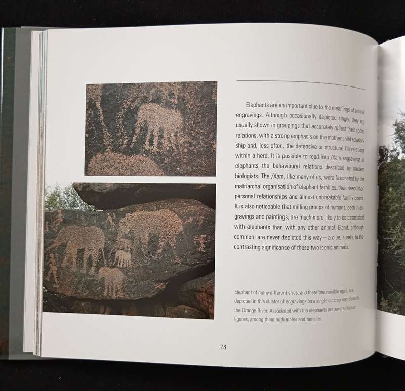 San Rock Engravings Marking the Karoo Landscape by Neil Rusch & John Parkington