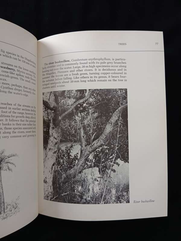 The Magaliesberg by Vincent Carruthers