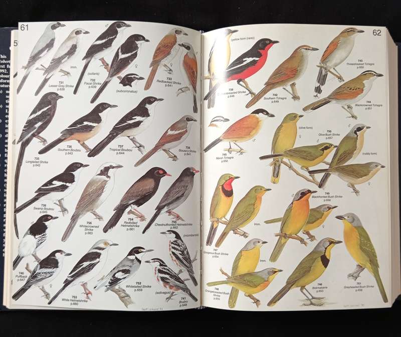 Robert`s Birds of Southern Africa by Gordon Lindsay Maclean