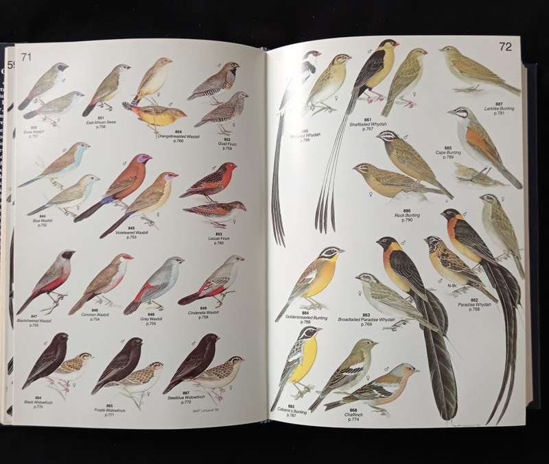 Robert`s Birds of Southern Africa by Gordon Lindsay Maclean