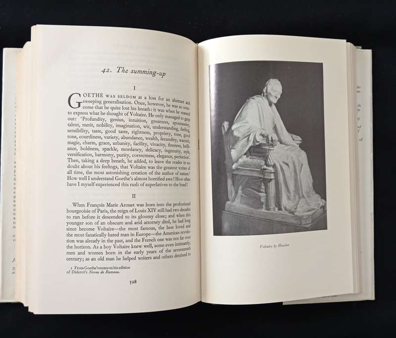 Voltaire by Theodore Besterman